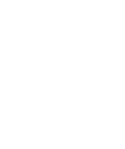 Transplant City Brewing Company