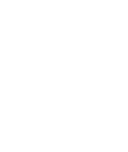 light logo